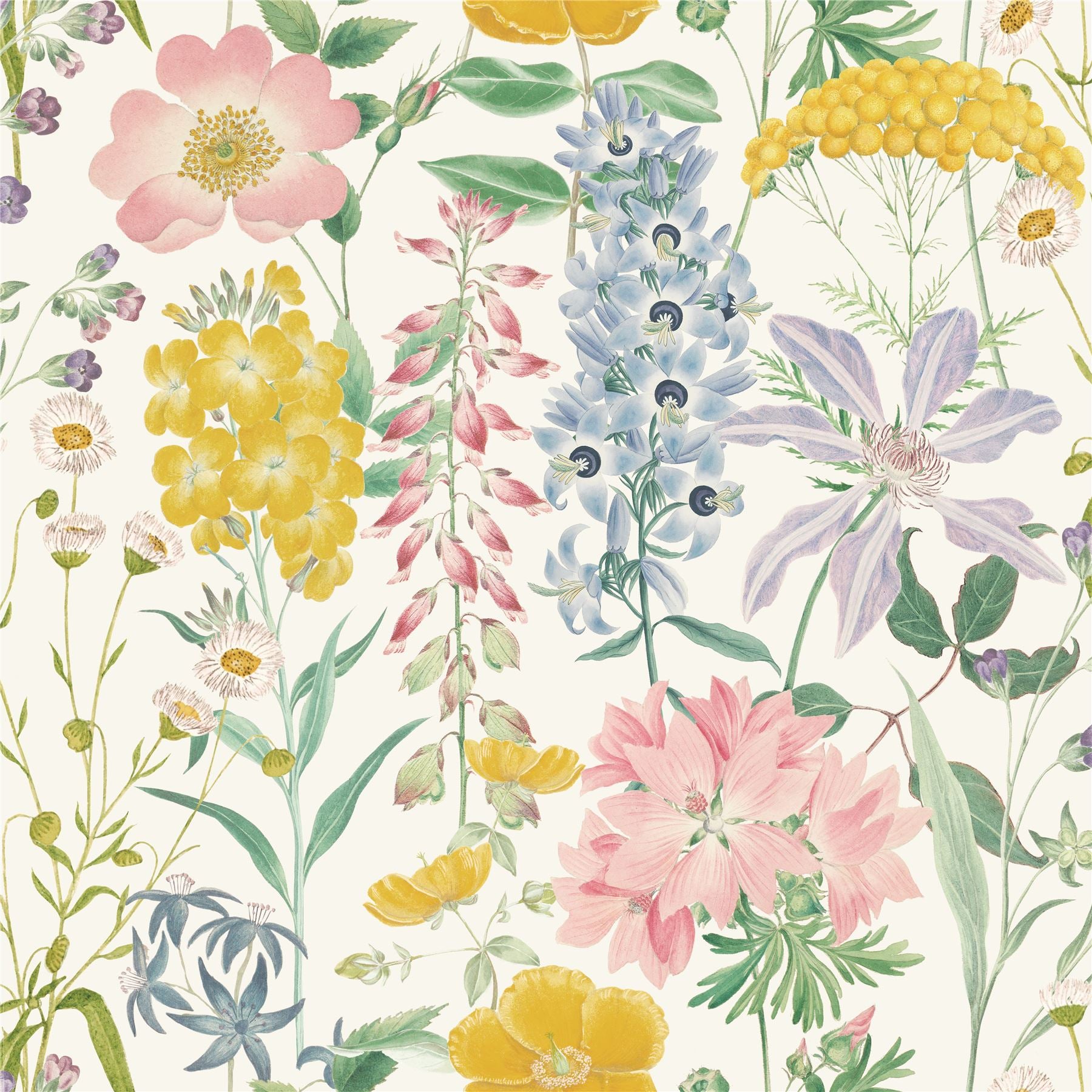 RHS Country Garden Cream Wallpaper