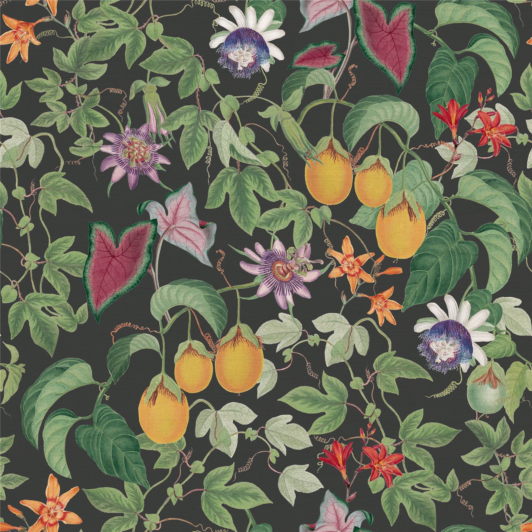 RHS Citrus & Vine Black Wallpaper